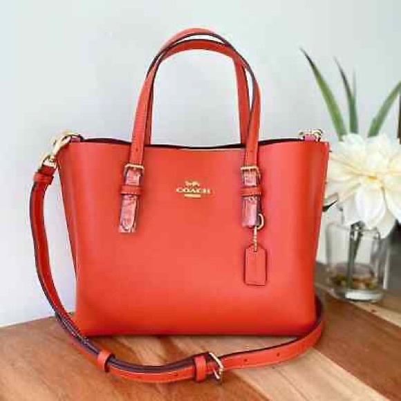 Coach - Picture 1 of 4